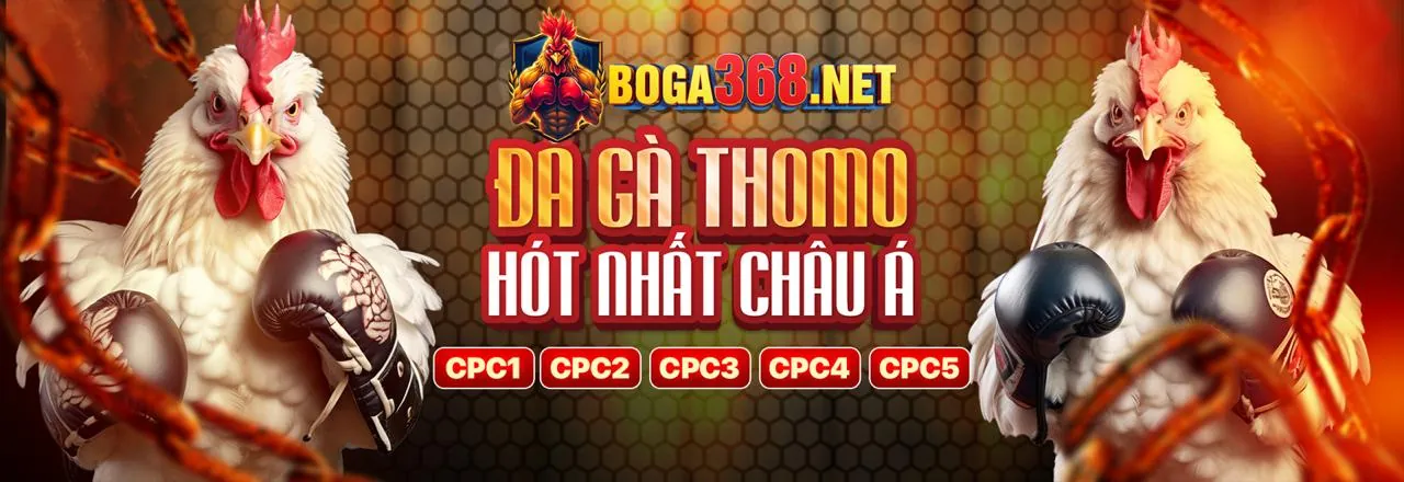 Cá cược Esport tại king69
